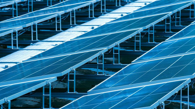 International industry experience